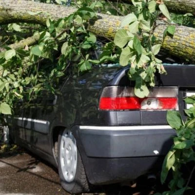 Own Damage Car Insurance